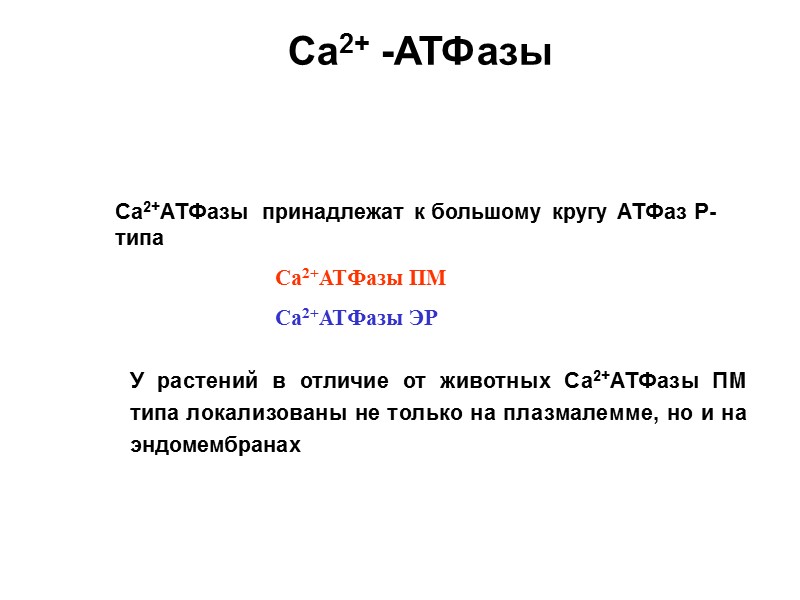 Са2+ -АТФазы  Са2+АТФазы  принадлежат к большому кругу АТФаз Р-типа   